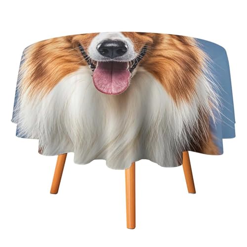 FHESDCW Tischdecke mit niedlichem Collie-Motiv, hitzebeständig, Polyester, rund, strapazierfähig, waschbar, Tischdecke für Küche, Party, Hochzeit, Picknick, 127 x 127 cm FHESDCW Tischdecke mit niedlichem Collie-Motiv, hitzebeständig, Polyester, rund, strapazierfähig, waschbar, Tischdecke für Küche, Party, Hochzeit, Picknick, 127 x 127 cm von FHESDCW