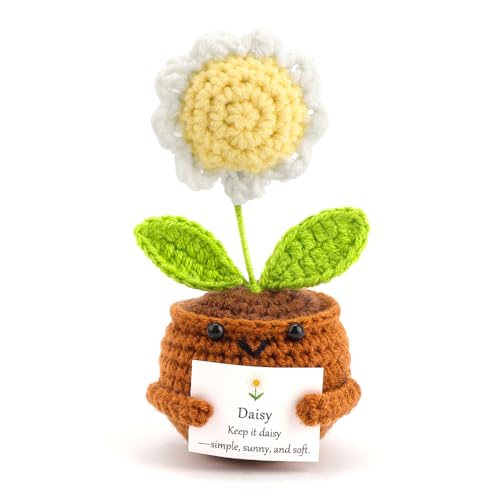 FIDWALL Positive Häkelblume Figur mit Eingebauter Affirmationskarte – Handgemachtes Geburtstagsblume Andenken für Frauen – Emotional Support, Glücksbringer, Pocket Hug (Gänseblümchen – Apr/Aug) von FIDWALL