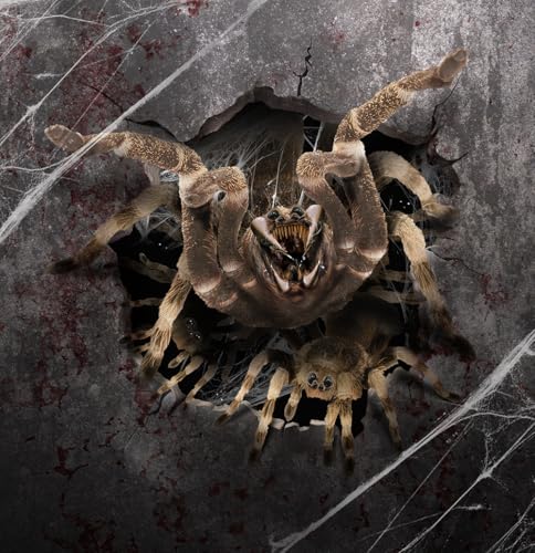 FIESTAS GUIRCA | Deko Wandaufkleber Spinne im Loch (16x16 cm) - Wand-, Tür- und Fensterdekoration für Halloween und Gruselfeste - Ideal für Feiern und Events - Mehrfarbig von FIESTAS GUIRCA
