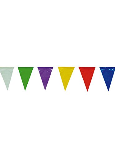 FIESTAS GUIRCA | Wimpelgirlande (50m | 20x30cm) - Partydekoration für Sommerfeste und Graduierungen - Zubehör für Feiern und Events - Ideal für Festdekoration - Mehrfarbig von FIESTAS GUIRCA