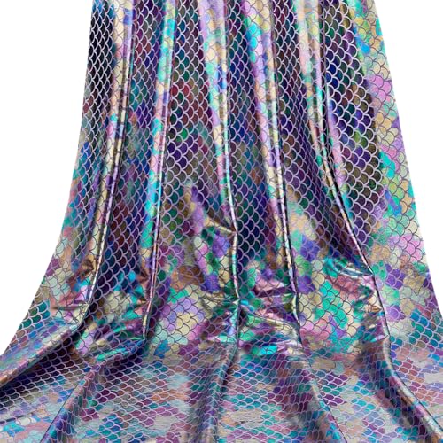 FINGERINSPIRE 1 m Stoff Mit Meerjungfrauenschuppen 1.5 m Breit Bunt Glitzernd Hologramm Fischschuppenstoff Nicht Dehnbarer Polyester Stoff Mit Meerjungfrauen Fischschuppen Hellvioletter Stoffrücken FINGERINSPIRE 1 m Stoff Mit Meerjungfrauenschuppen 1.5 m Breit Bunt Glitzernd Hologramm Fischschuppenstoff Nicht Dehnbarer Polyester Stoff Mit Meerjungfrauen Fischschuppen Hellvioletter Stoffrücken von FINGERINSPIRE