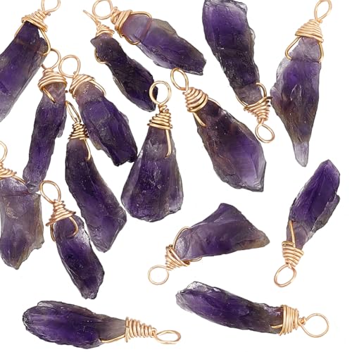 FINGERINSPIRE 16 Stück 28 mm Natürlicher Amethyst Anhänger Lose Unregelmäßige Amethyst Charms Roher Amethyst Mit Kupferdraht Umwickelter Naturstein Heilkristall Edelstein Anhänger Für Schmuck von FINGERINSPIRE