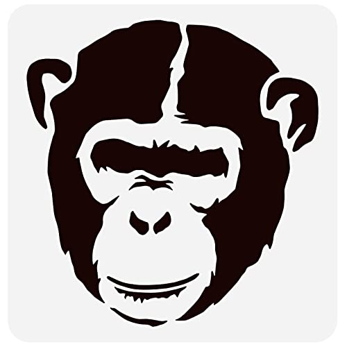 FINGERINSPIRE Affenkopf Muster Schablone 30x30cm Wiederverwendbar Schimpansen Malschablone DIY Craft Monkey Malvorlage Banksy Schablone Dekoration Für Wand Holz Möbel Scrapbook Malerei FINGERINSPIRE Affenkopf Muster Schablone 30x30cm Wiederverwendbar Schimpansen Malschablone DIY Craft Monkey Malvorlage Banksy Schablone Dekoration Für Wand Holz Möbel Scrapbook Malerei von FINGERINSPIRE