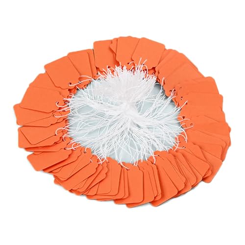 500pcs Preisbezeichnungen Preis Mit String Display Markiert Für Produktschmuck 22x35 Mm 500pcs Preisbezeichnungen Preis Mit String Display Markiert Für Produktschmuck 22x35 Mm von FIRSTXIU