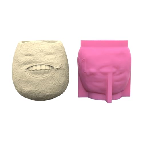 Sukkulente Vase Formen von FIRSTXIU