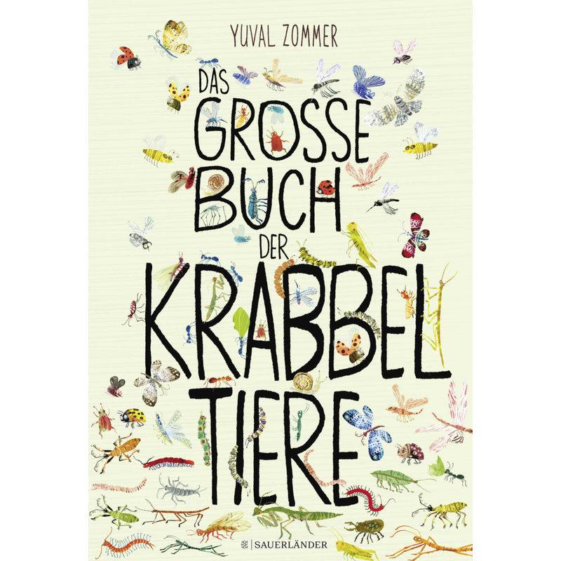 Das Große Buch Der Krabbeltiere - Yuval Zommer, Gebunden von FISCHER Sauerländer