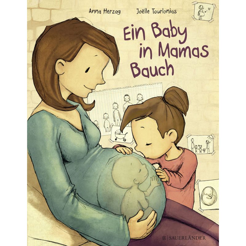 Ein Baby In Mamas Bauch - Anna Herzog, Joëlle Tourlonias, Gebunden von FISCHER Sauerländer