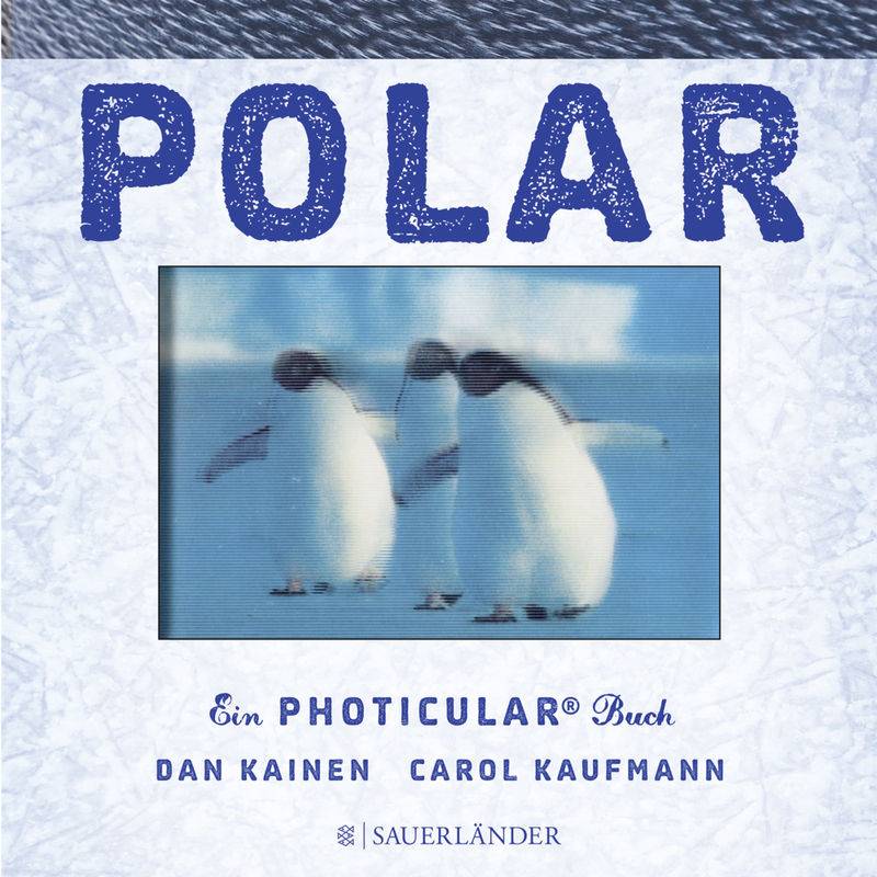 Polar - Dan Kainen, Carol Kaufmann, Gebunden von FISCHER Sauerländer