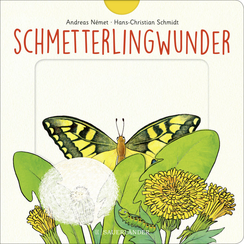Schmetterlingwunder - Hans-Christian Schmidt, Gebunden von FISCHER Sauerländer