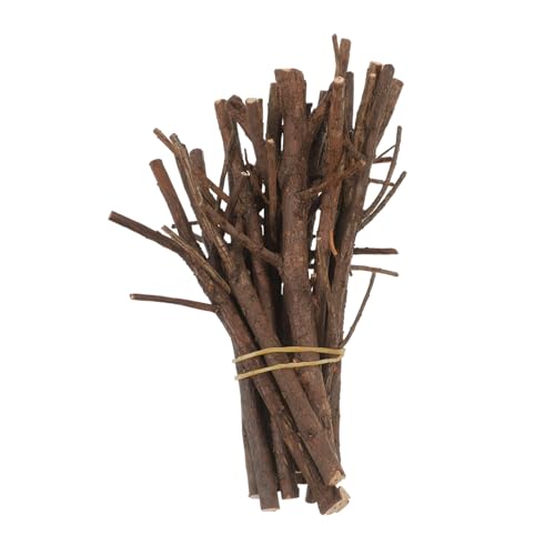 FIXOSHEE 15 Stück Teiliges Weihnachts DIY Holzstäbe Kiefernzapfen Simulation Bastelzweige für Foto Requisiten Bastelbedarf Weihnachtsdeko Kreative Handarbeit FIXOSHEE 15 Stück Teiliges Weihnachts DIY Holzstäbe Kiefernzapfen Simulation Bastelzweige für Foto Requisiten Bastelbedarf Weihnachtsdeko Kreative Handarbeit von FIXOSHEE