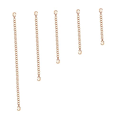 FIXOSHEE 5Stücke Verlängerungskette mit Karabinerverschluss für DIY Schmuckherstellung für Armbänder und Halskettenverlängerung FIXOSHEE 5Stücke Verlängerungskette mit Karabinerverschluss für DIY Schmuckherstellung für Armbänder und Halskettenverlängerung von FIXOSHEE