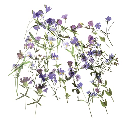 FIXOSHEE 80Blätter Blumen Aufkleber Transparente Selbstklebende Pet Blumensticker für Scrapbooking und DIY Projekte Sicher für Erwachsene für Kreative Dekorationen FIXOSHEE 80Blätter Blumen Aufkleber Transparente Selbstklebende Pet Blumensticker für Scrapbooking und DIY Projekte Sicher für Erwachsene für Kreative Dekorationen von FIXOSHEE