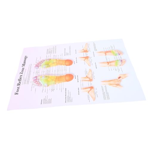 FIXOSHEE Fußreflexzonenmassage Wandposter Medizinisches Massage Chart für Profis Stain resistant Lehrposter Fußreflexologie Anatomie Wanddekoration von FIXOSHEE