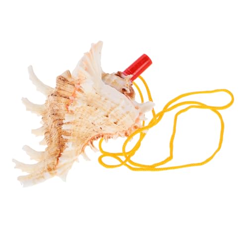 FIXOSHEE Großes Meeres Musikinstrument Muscheltrompete aus Natürlicher Meeresschnecke Mehrtönige Pfeife für Robustes Outdoor Camping Leicht zu Reinigen und Vielseitig Einsetzbar FIXOSHEE Großes Meeres Musikinstrument Muscheltrompete aus Natürlicher Meeresschnecke Mehrtönige Pfeife für Robustes Outdoor Camping Leicht zu Reinigen und Vielseitig Einsetzbar von FIXOSHEE