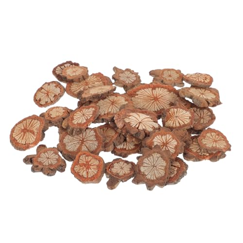 FIXOSHEE Natürliches Rattan Holzchip Dekor DIY Bastelmaterial für Kränze Rustikal Unbehandelte Holzscheiben zum Individuellen Gestalten von Wohn Hochzeits und Festtagsdekorationen FIXOSHEE Natürliches Rattan Holzchip Dekor DIY Bastelmaterial für Kränze Rustikal Unbehandelte Holzscheiben zum Individuellen Gestalten von Wohn Hochzeits und Festtagsdekorationen von FIXOSHEE