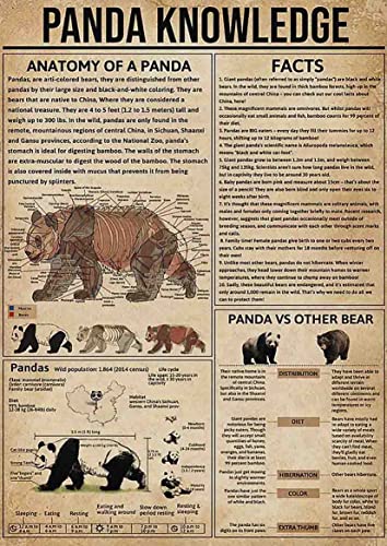 FJQWKLF Metall-Blechschilder „Panda Knowledge“, Anatomie eines Pandas, Retro-Poster, Kindererziehung, Wissenschaft, Heim, Klassenzimmer, Büro, Wanddekoration, 30,5 x 40,6 cm FJQWKLF Metall-Blechschilder „Panda Knowledge“, Anatomie eines Pandas, Retro-Poster, Kindererziehung, Wissenschaft, Heim, Klassenzimmer, Büro, Wanddekoration, 30,5 x 40,6 cm von FJQWKLF