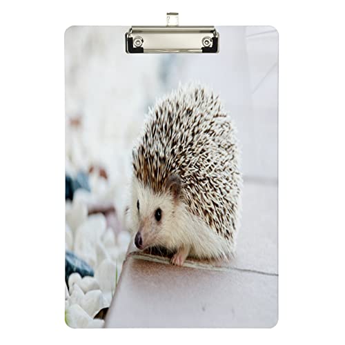 Klemmbrett aus Acryl, Igel, A4-Letter-Größe, Standard-Klemmbrett, silberfarbenes Klemmbrett, ideal für Studenten, Büro, Schule, Krankenschwestern, 31,8 x 21,6 cm Klemmbrett aus Acryl, Igel, A4-Letter-Größe, Standard-Klemmbrett, silberfarbenes Klemmbrett, ideal für Studenten, Büro, Schule, Krankenschwestern, 31,8 x 21,6 cm von FJQWKLF
