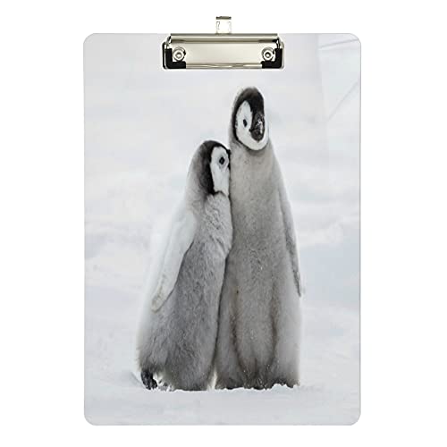 Klemmbrett aus Acryl, Schneepinguine, A4-Letter-Größe, Standard-Klemmbrett, silberfarbenes Klemmbrett, ideal für Studenten, Büro, Schule, Krankenschwestern, 31,8 x 21,6 cm Klemmbrett aus Acryl, Schneepinguine, A4-Letter-Größe, Standard-Klemmbrett, silberfarbenes Klemmbrett, ideal für Studenten, Büro, Schule, Krankenschwestern, 31,8 x 21,6 cm von FJQWKLF