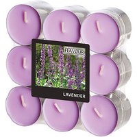 18 FLAVOUR by GALA Teelichter violett Lavender 18 FLAVOUR by GALA Teelichter violett Lavender von FLAVOUR by GALA