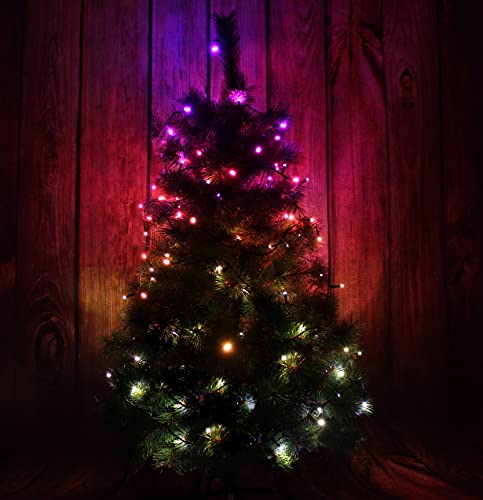 FLINQ Lichterkette Weihnachtsbaum 19m - Mit App steuerbar - Weihnachtsbeleuchtung Außen und Innen - Lichterkette Outdoor Strom 160 LEDs - RGB mehrfarbig FLINQ Lichterkette Weihnachtsbaum 19m - Mit App steuerbar - Weihnachtsbeleuchtung Außen und Innen - Lichterkette Outdoor Strom 160 LEDs - RGB mehrfarbig von FLINQ