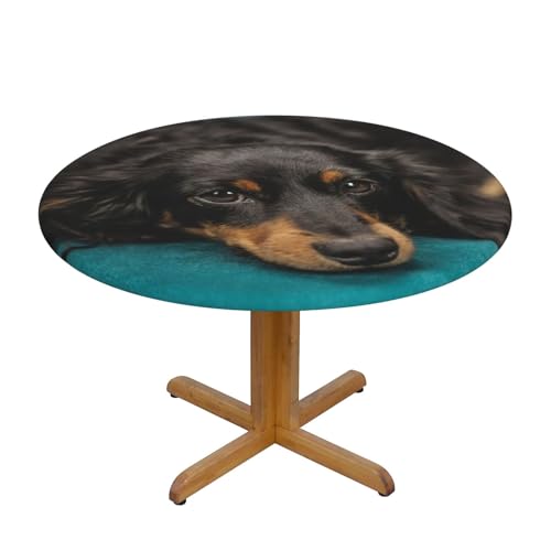 Dackel Hund Bedruckte Runde Tischdecke - Elastische Kanten Angepasste Tischdecke Rund 122 cm Wasserdicht Faltenfrei Tischdecke von FLYIFE