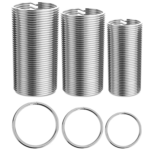 Schlüsselringe,120 Stück 20/25/30 mm Schlüsselringe Edelstahl,DIY Schlüssel Ringe Flache Schlüsselring für DIY-Kunsthandwerk,Schmuckherstellung,Taschen,Handtaschen (Silber) von FLZONHUT