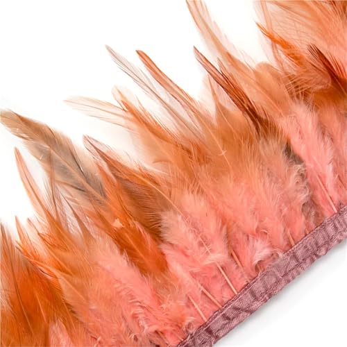 FOELANNE Federn Trims Fransen, Rooster Feather Trim Fringe Ribbon 2 Meters for Sewing Crafts Dress Decorations(Shrimp Pink) von FOELANNE