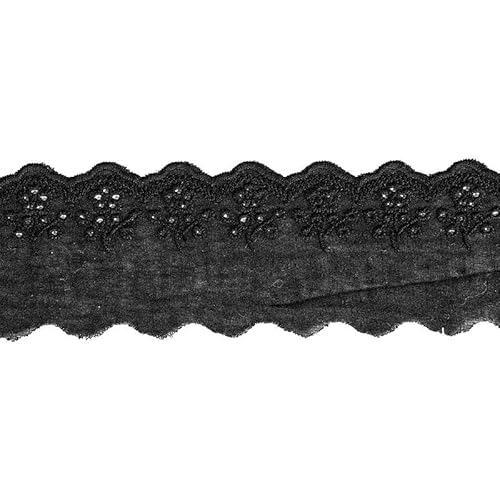 Zurückziehende Seite, Baumwoll-Stickerei-Spitzenband, 6 cm Breite, 4,5 m, mehrfarbig(Black) von FOELANNE