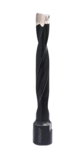 FOMASP Domino-Fräser, Vollhartmetall-Domino-Bit für Domino DF700, 10 mm von FOMASP