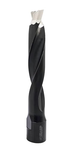 FOMASP Domino-Fräser, Vollhartmetall-Domino-Bit für Domino DF700, 12 mm FOMASP Domino-Fräser, Vollhartmetall-Domino-Bit für Domino DF700, 12 mm von FOMASP