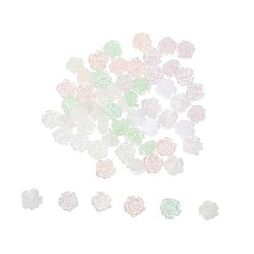 FOMIYES 60 Stück Nail Flower Charms Iridescent Resin Camellia Fingernail Decorations DIY Floral Nail Accessories für Geburtstag Hochzeit Festival Damen und Mädchen FOMIYES 60 Stück Nail Flower Charms Iridescent Resin Camellia Fingernail Decorations DIY Floral Nail Accessories für Geburtstag Hochzeit Festival Damen und Mädchen von FOMIYES