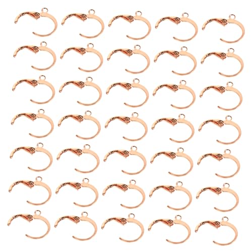 FOMIYES 80 Stück Teiliges Runde Ohrhaken Roségoldfarbenem Langlebige Earwires für DIY Ohrringe Französische Hebelverschluss Ohrhaken Selbermachen für Schmuckherstellung und FOMIYES 80 Stück Teiliges Runde Ohrhaken Roségoldfarbenem Langlebige Earwires für DIY Ohrringe Französische Hebelverschluss Ohrhaken Selbermachen für Schmuckherstellung und von FOMIYES