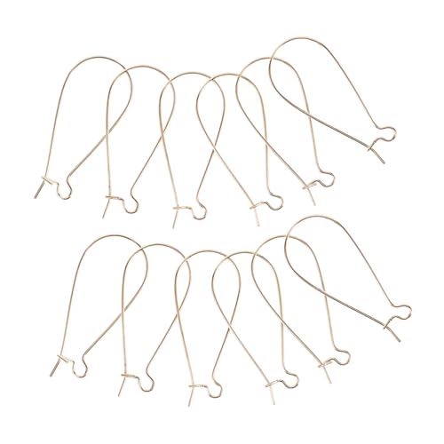 FONDOTIN 100 Stück Ohrhaken für Damen DIY Schmuckherstellung Nickelfrei Perfektes Bastelzubehör für Ohrringe Glatte Oberfläche für Designs und Kreative Projekte FONDOTIN 100 Stück Ohrhaken für Damen DIY Schmuckherstellung Nickelfrei Perfektes Bastelzubehör für Ohrringe Glatte Oberfläche für Designs und Kreative Projekte von FONDOTIN