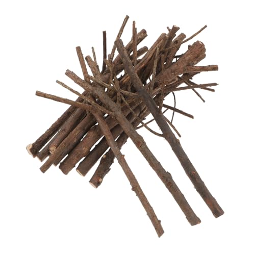 FONDOTIN 15 Stück Teiliges Weihnachts DIY Holzstäbe mit Realistischem Zapfen Design Kreative Bastelzweige für Kinderhandwerk Foto Requisiten und Dekoration von FONDOTIN