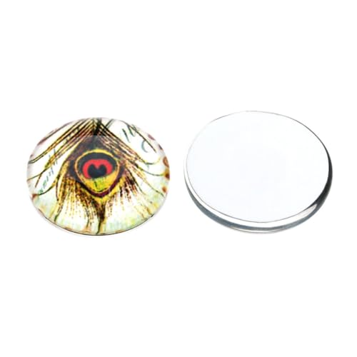 FONDOTIN 20 Stück Glas Edelstein Aufkleber Bunte DIY Schmuckherstellung Zubehör Langlebig und Dekorativ Geeignet für Ohrringe Manschettenknöpfe und Bastelarbeiten FONDOTIN 20 Stück Glas Edelstein Aufkleber Bunte DIY Schmuckherstellung Zubehör Langlebig und Dekorativ Geeignet für Ohrringe Manschettenknöpfe und Bastelarbeiten von FONDOTIN