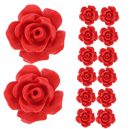FONDOTIN 50 Stück Rote Rosenperlen DIY Schmuckherstellung Armband Perlen für Bastelzubehör und Dekoration Handgefertigte Accessoires für Zuhause und Shop FONDOTIN 50 Stück Rote Rosenperlen DIY Schmuckherstellung Armband Perlen für Bastelzubehör und Dekoration Handgefertigte Accessoires für Zuhause und Shop von FONDOTIN