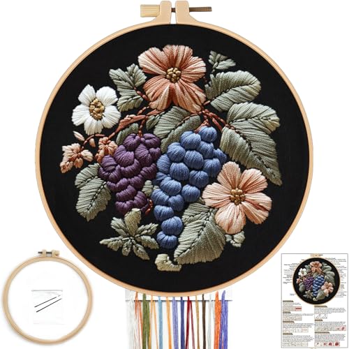 FONNUY Stickset für Anfänger, vorgestanztes Muster mit Trauben, Früchten, Blumen, für Erwachsene mit Reifen, leicht verständliche Farbfaden-Nadelarbeit, 20,3 cm (8 Zoll), Violett / Blau von FONNUY