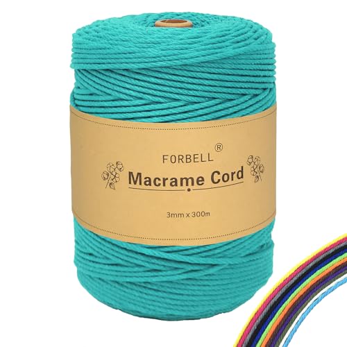 FORBELL Makramee Garn, 2mm x 300m Premium Baumwollgarn, DIY Handwerk (Aquablau, 3 mm x 300 M) von FORBELL