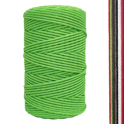 Makramee Garn, 2mm x 300m Premium Baumwollgarn, DIY Handwerk (Apfelgrün (2mm)) von FORBELL