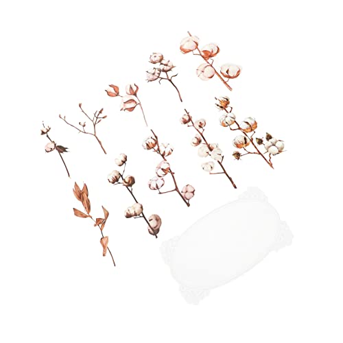 FOYTOKI 5taschen Schönen Pflanzenaufklebern Selbstklebende Dekorative Aufkleber Für Scrapbooking Und DIY Projekte Große Pet Sticker Pro Packung Für Fotoalben Und Journals von FOYTOKI