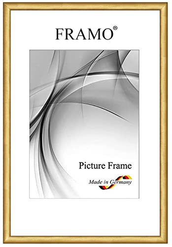FRAMO Holz Bilderrahmen Schmal 10 x 15 cm aus Massivholz | Gold | Farbe/Größe wählbar | Rahmen für Poster | Puzzle | Foto collage N°081 von FRAMO