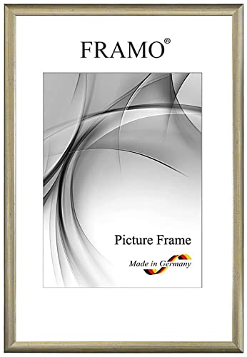 FRAMO Holz Bilderrahmen Schmal 31 x 46 cm aus Massivholz | Alt-Silber | Farbe/Größe wählbar | Rahmen für Poster | Puzzle | Foto collage N°077 FRAMO Holz Bilderrahmen Schmal 31 x 46 cm aus Massivholz | Alt-Silber | Farbe/Größe wählbar | Rahmen für Poster | Puzzle | Foto collage N°077 von FRAMO