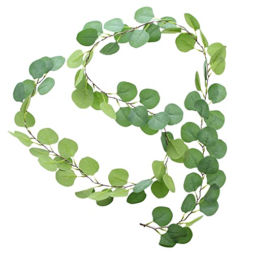 Blättergirlande, Lichterkette, Girlande LED-Lichterkette "Eukalyptus" mit Blätter Gesamtlänge 210 cm, nur für den Innenbereich geeignet Blättergirlande, Lichterkette, Girlande LED-Lichterkette "Eukalyptus" mit Blätter Gesamtlänge 210 cm, nur für den Innenbereich geeignet von FRANK FLECHTWAREN