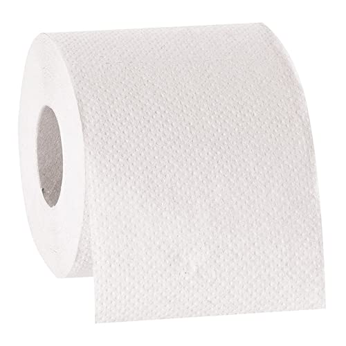HygoClean Toilettenpapier, natur, 2-lagig, 250 Blatt 9,5x11,5cm, 8x8 Rollen, 100% Recyclingpapier HygoClean Toilettenpapier, natur, 2-lagig, 250 Blatt 9,5x11,5cm, 8x8 Rollen, 100% Recyclingpapier von FRANZ MENSCH