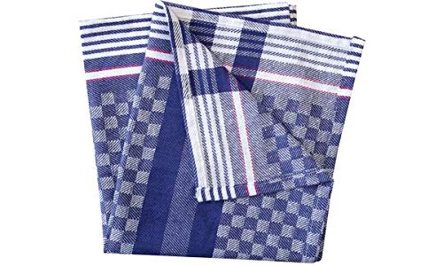 franz mensch Gruben-Handtuch HYGOSTAR, blau-weiß kariert, Sie erhalten 10 Stück franz mensch Gruben-Handtuch HYGOSTAR, blau-weiß kariert, Sie erhalten 10 Stück von FRANZ MENSCH
