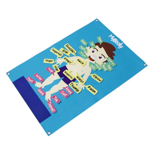 FRCOLOR Interaktives Aktivitäts Filzboard Menschlicher Körper Vorschule Wandtafel für Erzählen und Entdecken von FRCOLOR