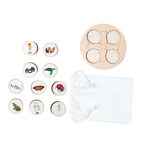 FRCOLOR Lebenszyklus Lernspielzeug Holzfiguren Tierwachstum Simulation Eltern Junge Mädchen Interaktion Kreatives Lernen für Detailreiche Modelle mit Tablett Pädagogisches für Schule und FRCOLOR Lebenszyklus Lernspielzeug Holzfiguren Tierwachstum Simulation Eltern Junge Mädchen Interaktion Kreatives Lernen für Detailreiche Modelle mit Tablett Pädagogisches für Schule und von FRCOLOR