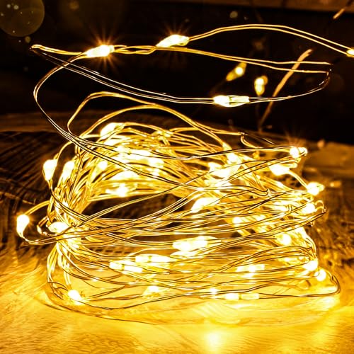 FREMON Lichterkette, Weihnachtsbeleuchtung mit 8 Beleuchtungsmodi, Wasserdichte Lichterkette Innen und Außen, LED Lichterkette Draht für Zimmer Deko, Party, Weihnachten, Ostern,Hochzeit, Garten(10M) von FREMON