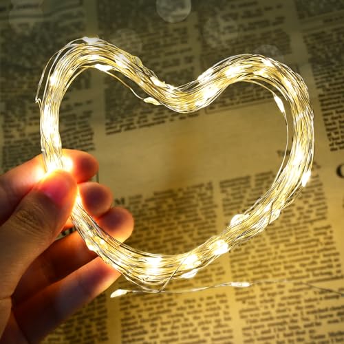 FREMON Lichterkette, 8 Beleuchtungsmodi Weihnachtsbeleuchtung, Warmweiß LED lichterkette innen und Außen, Memoryfunktion Fairy Lights mit Weihnachtsdeko, Baum, Party, Hochzeit, Zimmer Deko(2Stück 10M) von FREMON