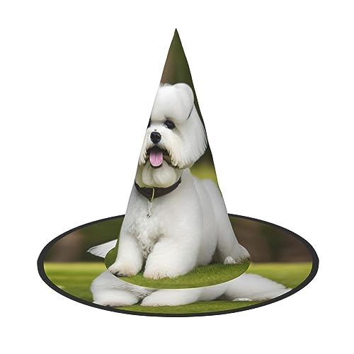 FRESQA Niedlicher Bichon Frisé-Hund, stilvolles Frauenhexenhut, Kostüm für Halloween, Halloween, Partyhut von FRESQA